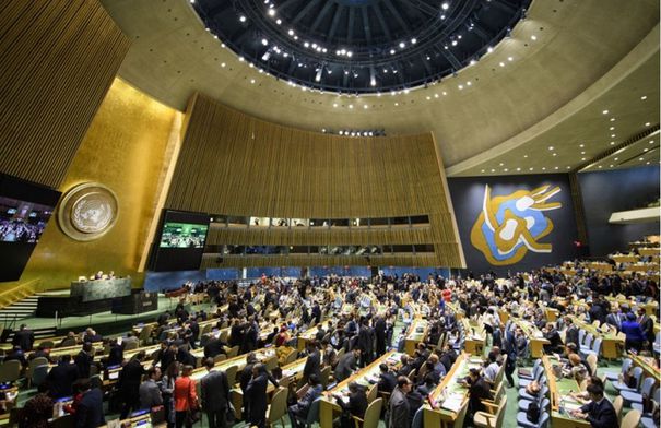 انتخاب وتعيين أعضاء لجان أممية…