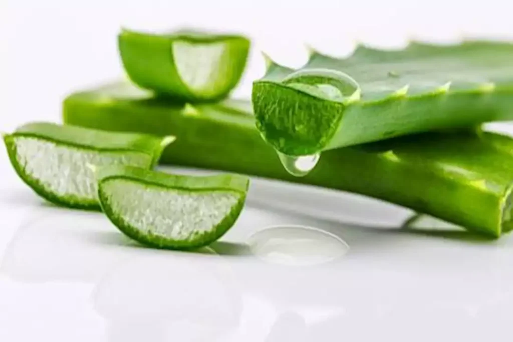 3 فوائد غير متوقعة للألوفيرا على صحة الجسم