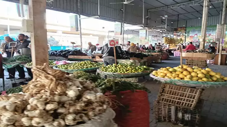 ارتفاع الليمون.. أسعار الخضروات في سوق العبور اليوم 12-11-2025