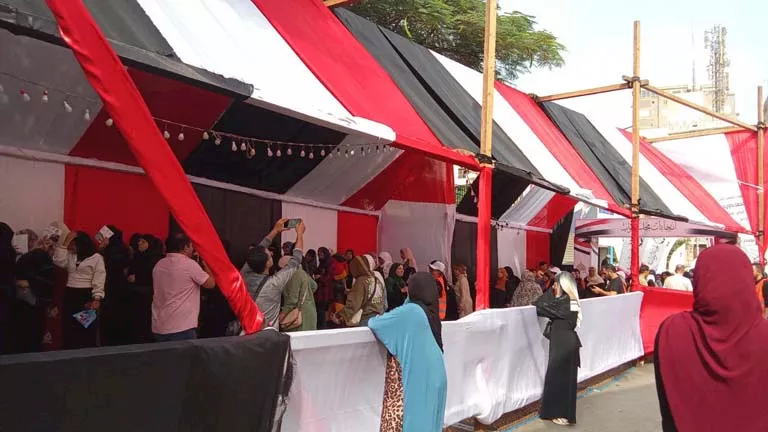 انتخابات مجلس نواب 2025.. الحصر العددي للدائرة الثانية بقنا