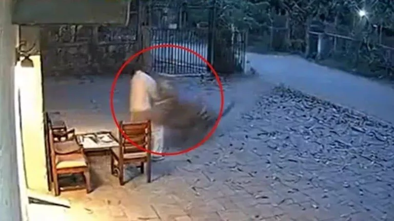 هجوم شرس من نمر على رجل هندي أثناء عمله.. فيديو حقيقي أم ذكاء اصطناعي؟