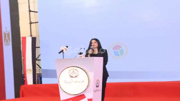 نسعى لتشكيل هيئة برلمانية.. أمين الجبهة الوطنية يوجه رسالة للرئيس السي