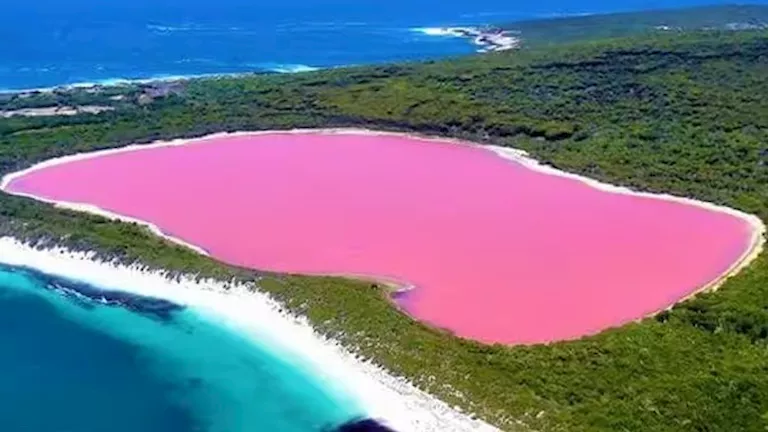 بحيرة الورود في أستراليا.. لغز المياه الوردية التي تحير العلماء