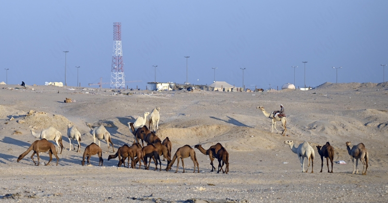 العجيري: دخلنا آخر منازل الوسم