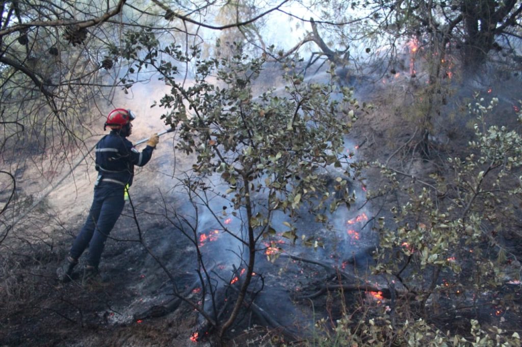المدية.. اندلاع حريق في غابة خزرون بالحمدانية