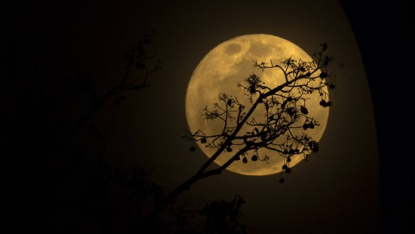 قمر الظلام العملاق البارد يظهر في سماء مصر الليلة