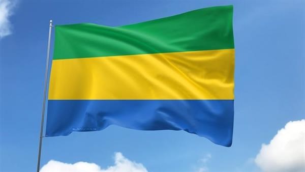 استقالة 18 وزيرا في الجابون بعد انتخابهم نوابا في البرلمان