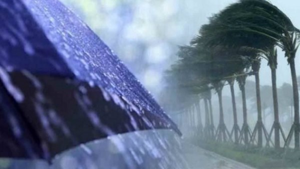 فلكيًا .. متى سينتهي الخريف ويفتح فصل الشتاء أبوابه؟