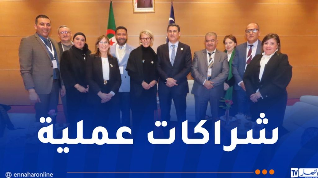 توسيع التعاون بين الجزائر واليونيسف في مجالات الإنتاج المحلي للأدوية