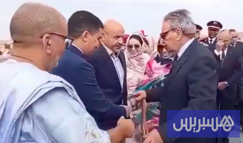 برلمانية تسأل عن “إساءة والي كلميم”