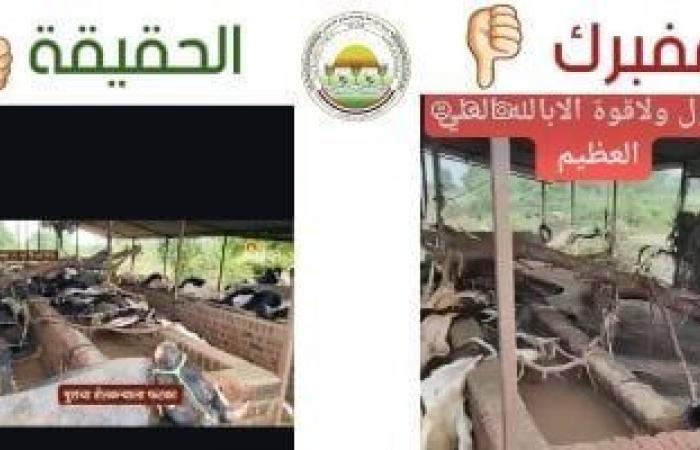 وزارة الزراعة تنفي صحة فيديو حالات نفوق الماشية: مزيف ومنسوب لدولة أخرى
