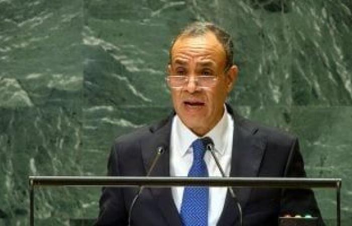 الخارجية تتابع عن كثب أوضاع المصريين فى مالى