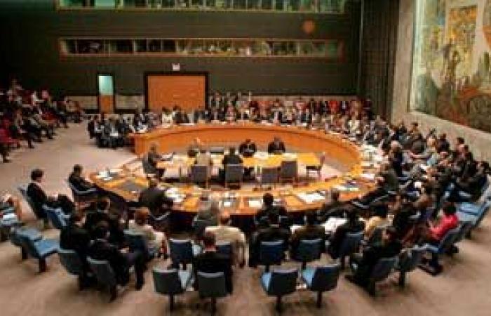 التصويت لصالح القرار محطة أساسية لتنفيذ خطة السلام
