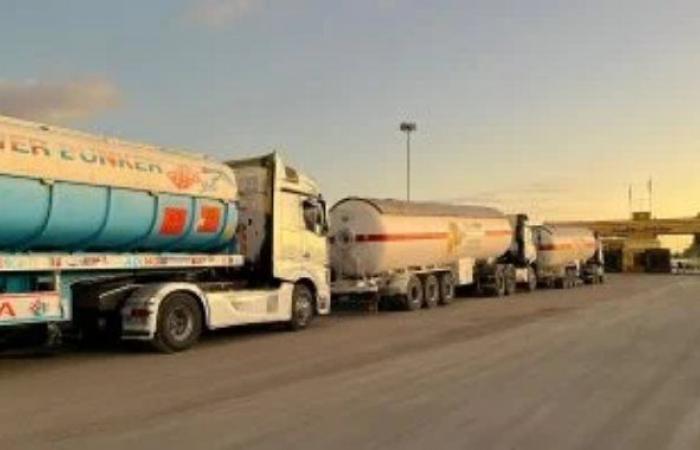 إطلاق قافلة زاد العزة 81 إلى غزة بحمولة 10 آلاف طن مساعدات و90 ألف قطعة ملابس
