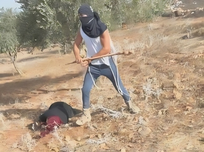 كاتس: اعتداءات المستوطنين “إخلال بالنظام” وليست إرهابا