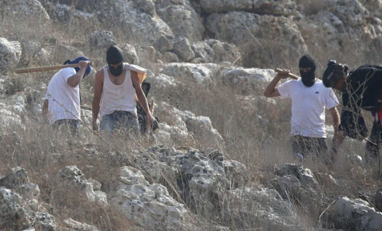 جرائم المستوطنين