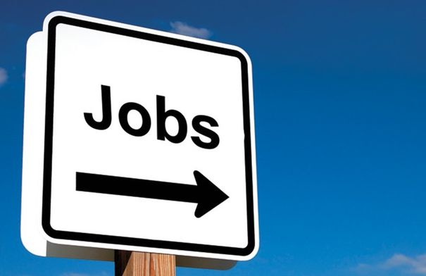 وظائف شاغرة في الحكومة تفاصيل…