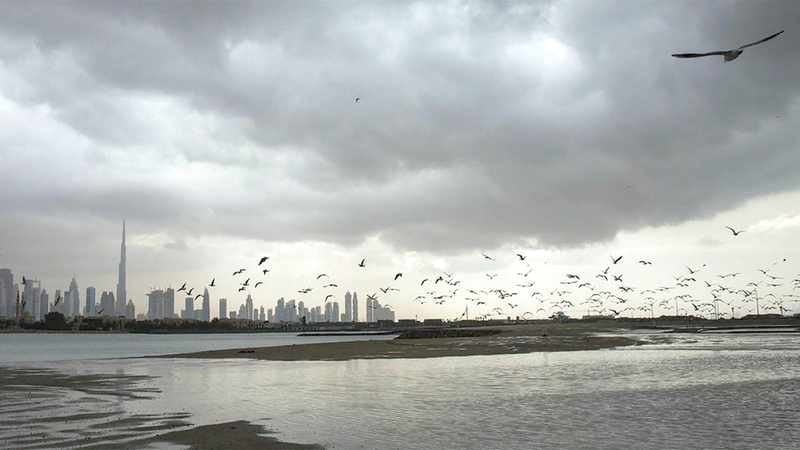 أجواء رطبة وضبابية صباحاً حتى 12 ديسمبر