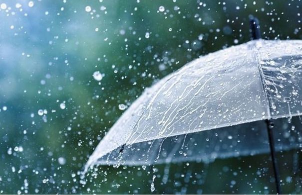 الهطولات المطرية ترفع أداء الموسم المطري…