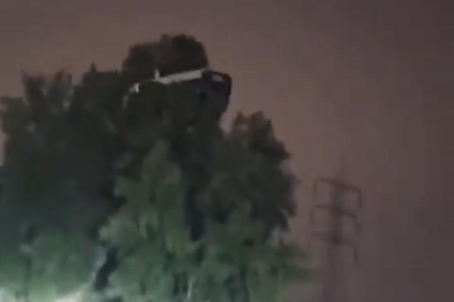 سيارة فوق شجرة على «السادس» تثير بلبلة وربكة أمنية