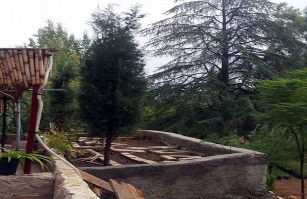 مشتل عين جملا إرث زراعي وبيئي يستأنف دوره في دعم…