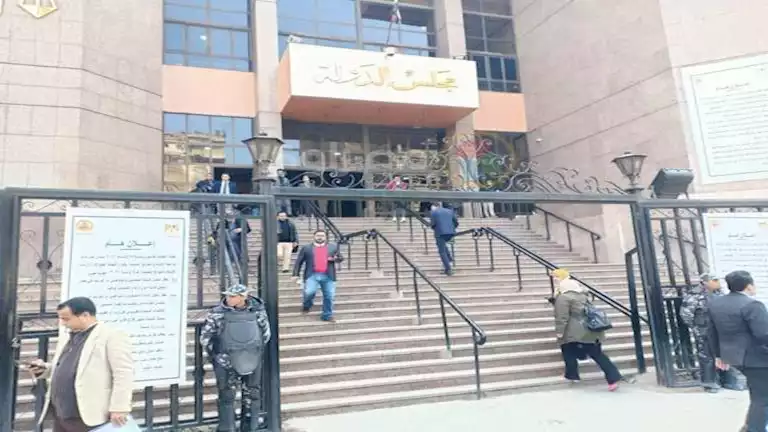 رئيس محكمة جنايات الجيزة السابق يطعن على نتيجة انتخابات النواب بدائرة