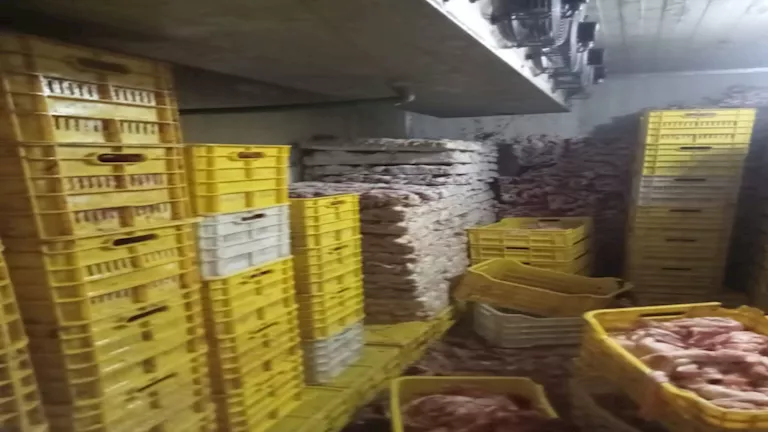 ضبط 45 طن دواجن ولحوم فاسدة بالجيزة