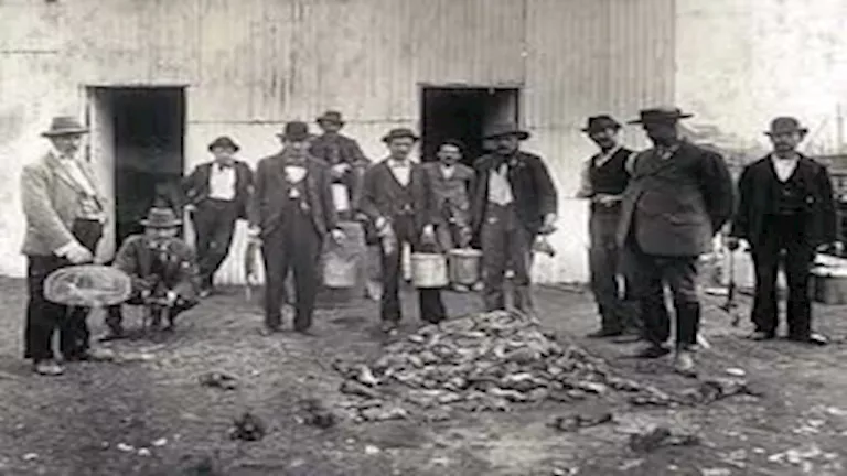 “تتجاوز حدود الخيال”.. أغرب الوظائف حول العالم