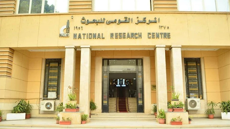 مواد مستوردة من الخارج.. دراسة تكشف أسرار جديدة التحنيط بسقارة