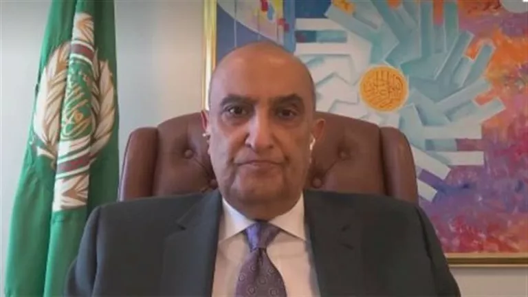 ماجد عبدالفتاح: تحريك مسار تجميد مشاركة إسرائيل بالأمم المتحدة يتطلب ت