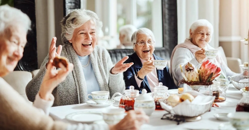 كوب من الشاي يومياً يدعم صحة العظام لدى المسنات.. دراسة تكشف