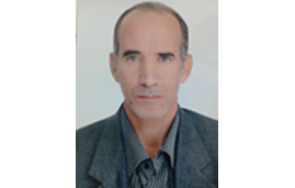 التأثير التراكمي.. حين تتحول الحبات الصغيرة إلى جبال من الإنجازات