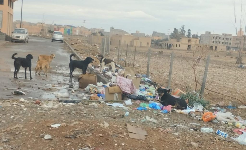 تكدس النفايات وحرقها يهددان صحة ساكنة واحة سيدي إبراهيم ضواحي مراكش