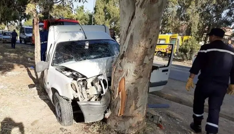 عين تموشنت.. إصابة 5 أشخاص في اصطدام سيارة بشجرة
