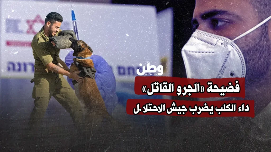 فضيحة «الجرو القاتل».. داء الكلب يضرب جيش الاحتلال