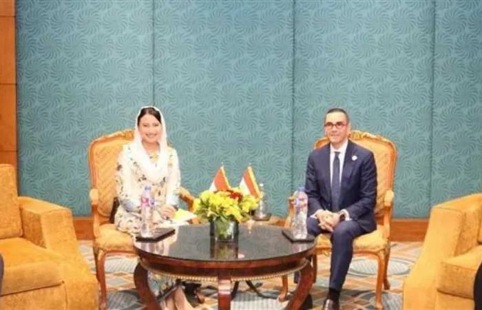 وزير الاستثمار يبحث مع نائبة وزير التجارة الإندونيسي تعزيز العلاقات التجارية والاستثمارية