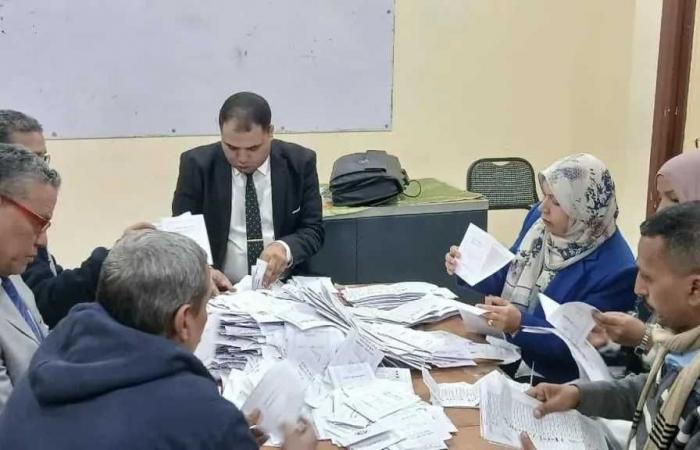 انتخابات مجلس النواب 2025.. تواصل أعمال الفرز في لجنة الحميدات بقنا