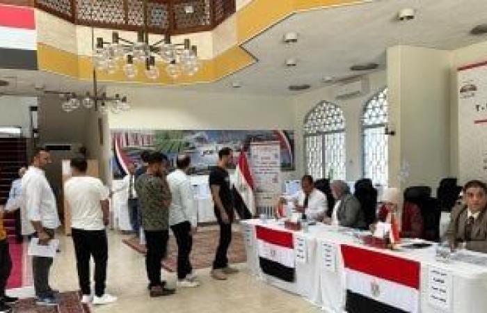 بدء الاقتراع للمصريين في الخارج بالـ30 دائرة الملغاة بانتخابات النواب غدًا