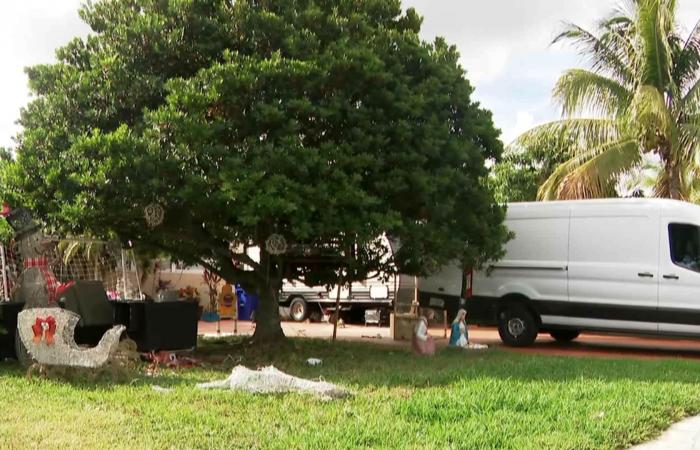 belbalady أمام أعين مالكيها.. شاهد محاولة سرقة زينة عيد الميلاد وردة فعل العائلة