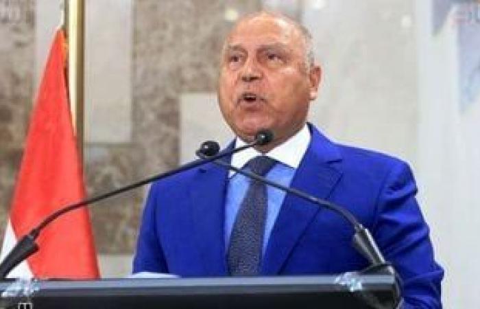 اليوم.. بدء التشغيل التجريبى لمحطة هاتشيسون بميناء السخنة