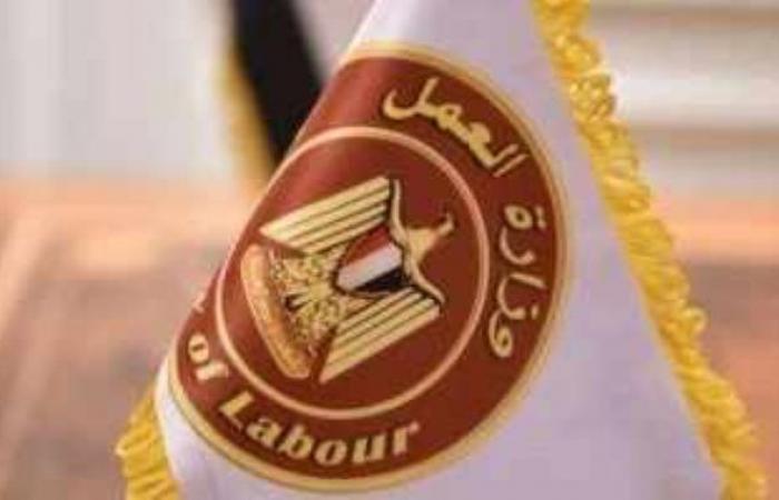 وظائف فى محطة الضبعة بمرتبات تصل لـ40 ألف جنيه.. اعرف التفاصيل