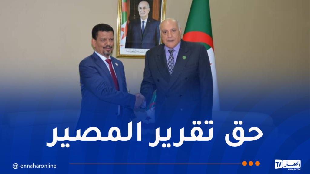 وزير الخارجية يتسقبل نظيره الصحراوي