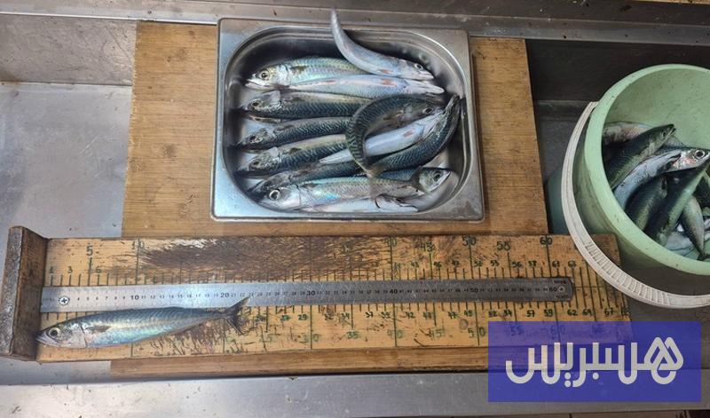 خبراء روس ومغاربة ينهون أبحاثا علمية