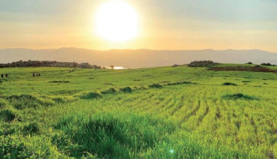 الطقس: أجواء صافية جافة ومغبرة وارتفاع طفيف على درجات الحرارة