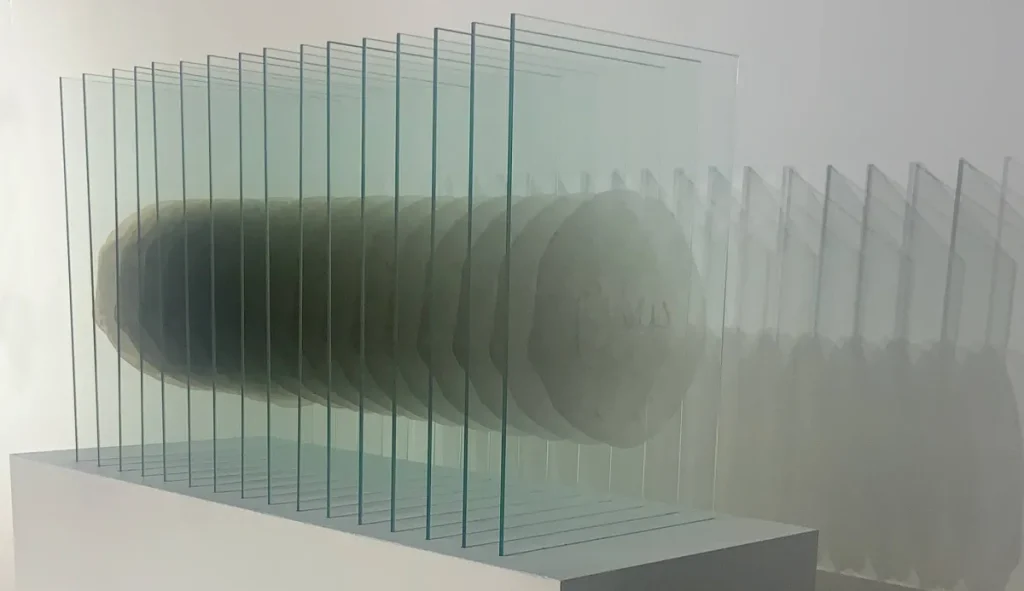 الفنان السعودي عبيد الصافي: الفن مساحة لفهم العالم لا للهروب منه