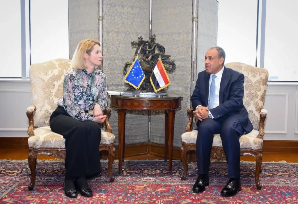 مصر تشدد على رفض تقسيم اليمن وغزة والسودان والصومال